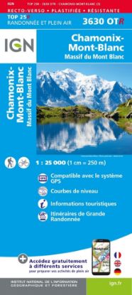 Image de Chamonix / Massif du Mont Blanc - RESISTANTE