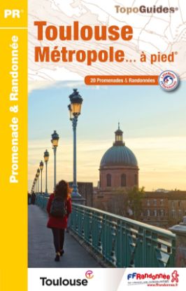 Image de Toulouse Métropole... à pied®